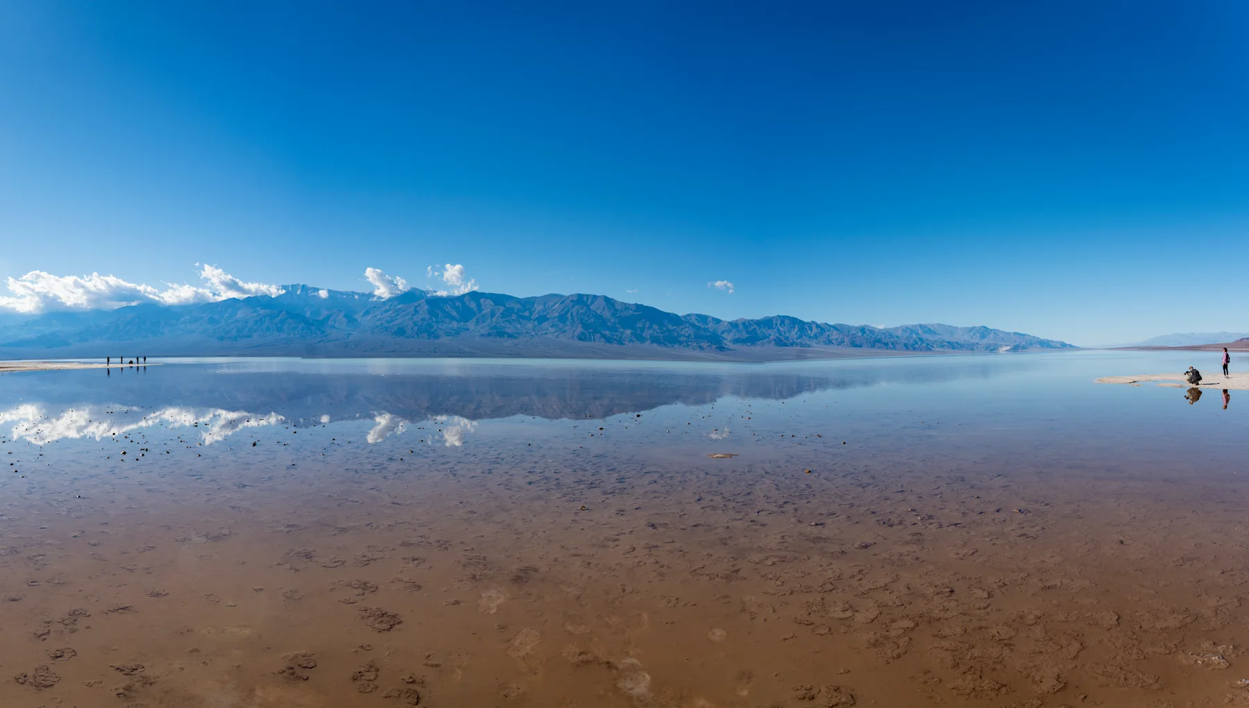 A Rare Wildflower Bloom in Death Valley National Park 2